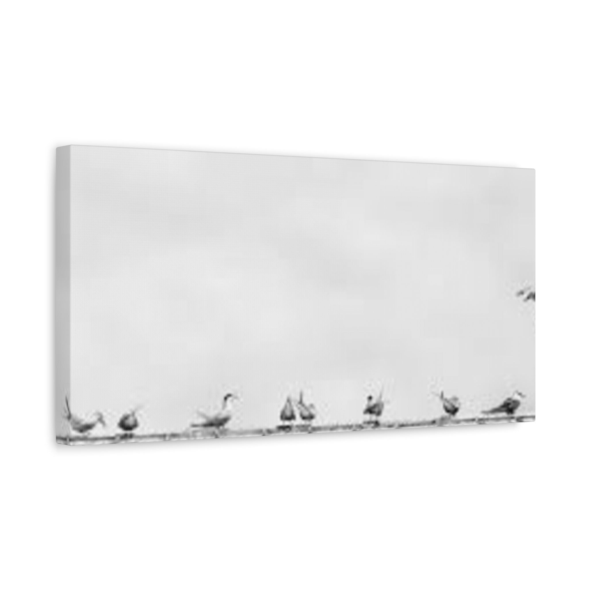 mimimalist canvas