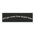 Did you come from stupid town magnet