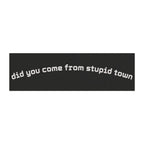 Did you come from stupid town magnet