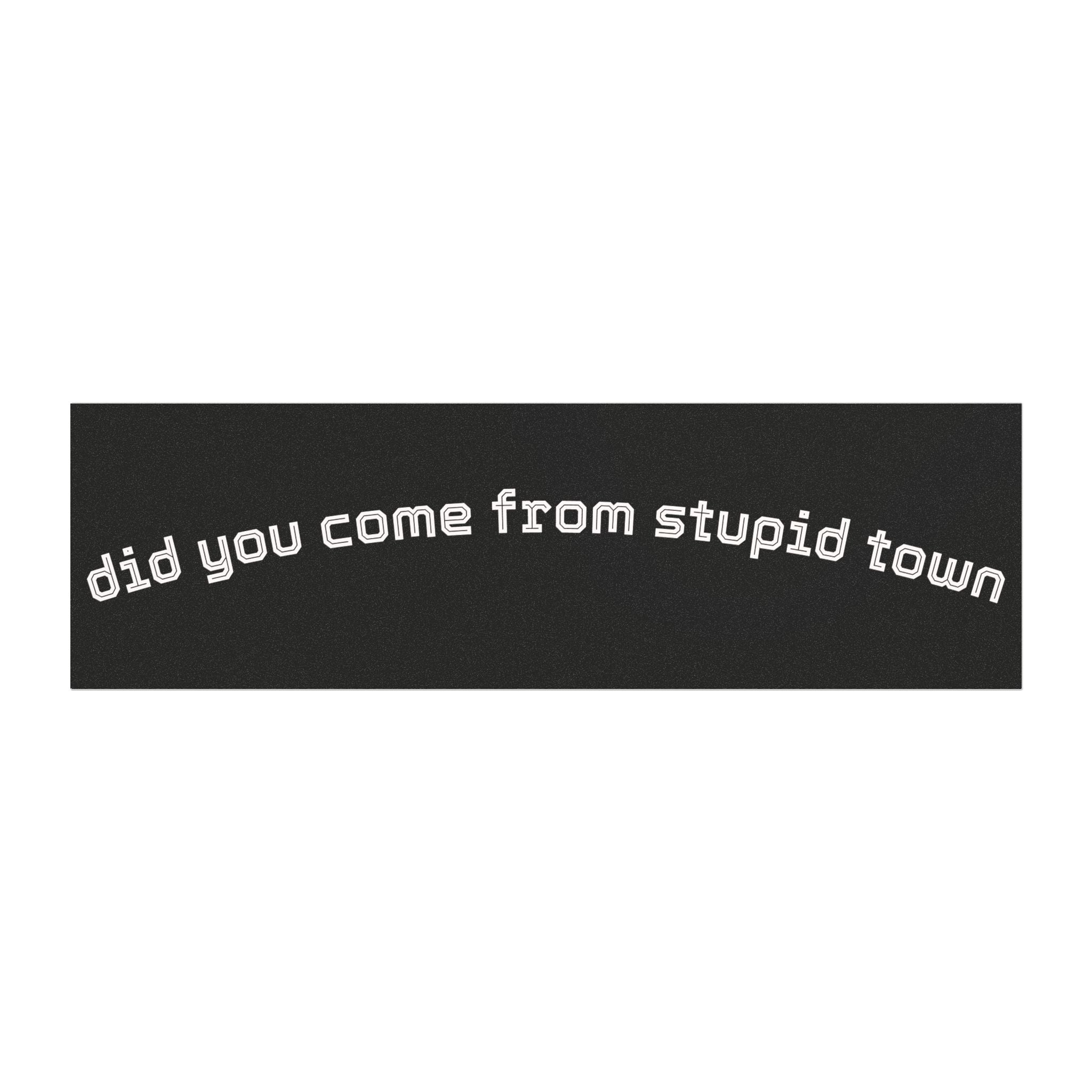 Did you come from stupid town magnet